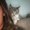 Photo of Marisela H.