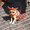 Photo of Zoom Y.