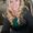 Photo of Lindsay K.