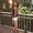 Photo of Katrina M.