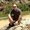 Photo of Ryan R.