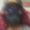 Photo of Cendee P.