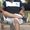 Photo of Ankush G.