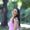 Photo of Ani K.