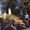 Photo of Mary Beth K.