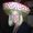 Photo of Gayle M.