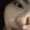 Photo of Rosa G.