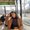 Photo of Jazzerine H.