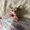 Photo of Arianna P.