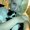 Photo of Chasity M.