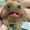 Photo of Chelsie S.