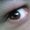 Photo of A F.