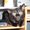Photo of Qype User (rickri…)