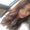 Photo of Saraf S.
