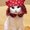Photo of Kitty C.
