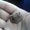 Photo of James C.