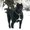 Photo of Demetrice W.