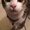 Photo of Paola F.
