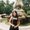 Photo of Angie L.