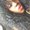 Photo of Mone C.