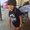Photo of Shauna T.