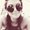 Photo of Laura P.