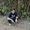Photo of Ayan D.