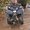 Photo of Shane D.