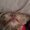 Photo of Jessamine H.
