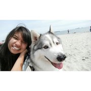 google avatar