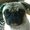 Photo of Melle M.