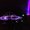 Photo of Ion 11 N.