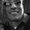 Photo of Rob R.