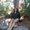 Photo of Darlene B.