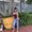 Photo of Shinelle C.