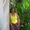 Photo of Tammy M.