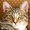 Photo of Dave L.
