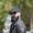 Photo of Kadir T.