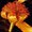 Photo of Monique B.