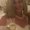 Photo of Lori H.