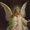 Photo of Victoria F.
