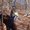 Photo of Mandy S.