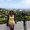 Photo of Natasha A.