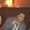 Photo of Sylvester P.