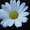 Photo of Qype User (zoejam…)