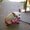 Photo of Robbi H.