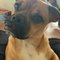Sebastian S. profile picture
