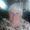 Photo of Gloria P.