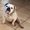 Photo of Ruby C.