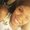 Photo of Jaylah W.